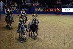Quadrille - 00650